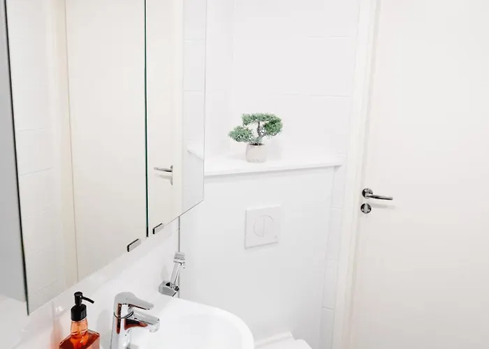 Aava 6 로바니에미